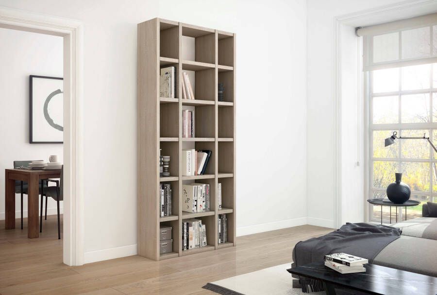 Home24 Boekenkast Emporior XV loftscape - Foto 2
