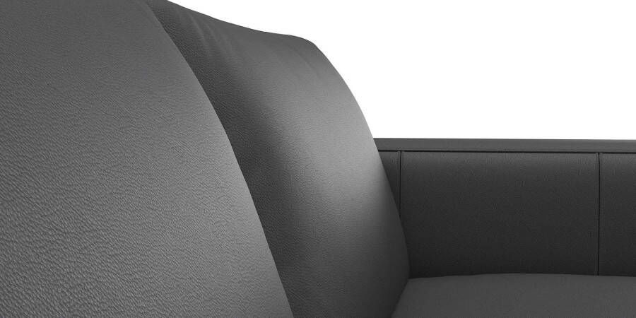 FLEXLUX 2-zitsbank Fiore brede armleuningen koudschuim poten aluminium + zwart - Foto 2