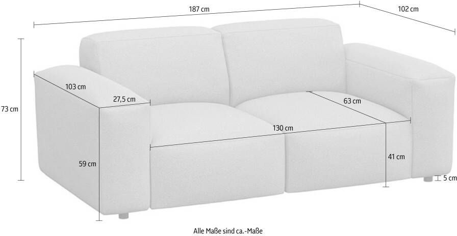 FLEXLUX 2-zitsbank Lucera Sofa modern & gezellig koudschuim stalen nosagvering - Foto 2