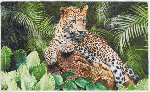 Heine home Badmat (1 stuk) - Foto 9