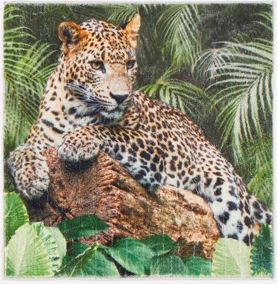 Heine home Badmat (1 stuk) - Foto 7