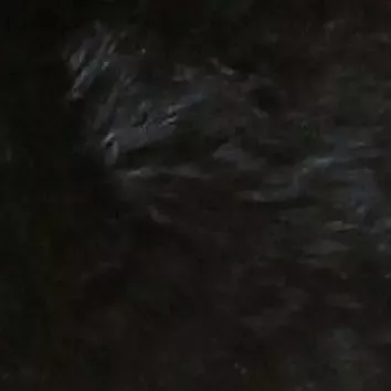 Heitmann Felle Stoelkussen Lamsvacht ronde zitkussen Ø 45 cm echt lamsvacht wasbaar ook als 2- of 4-delige set (1 stuk) - Foto 3