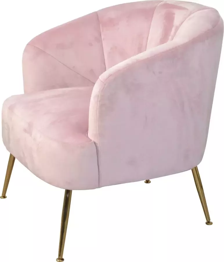 HOFMANN LIVING AND MORE Fauteuil Poten van stalen buizen goudkleurig gelakt veloursovertrek - Foto 3