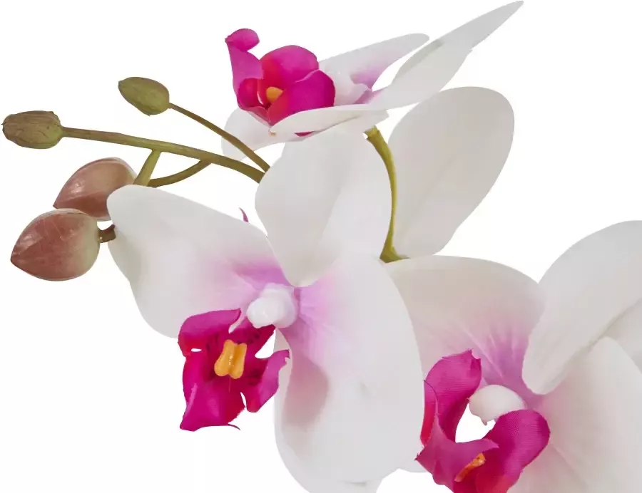 Home affaire Kunstplant Orchidee Kunstorchidee in een pot (1 stuk) - Foto 5