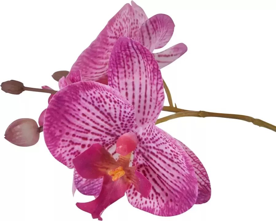 Home affaire Kunstplant Orchidee Kunstorchidee in een pot (1 stuk) - Foto 4