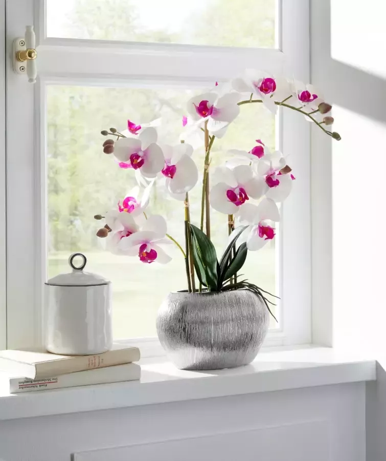 Home affaire Kunstplant Orchidee Kunstorchidee in een pot (1 stuk) - Foto 3