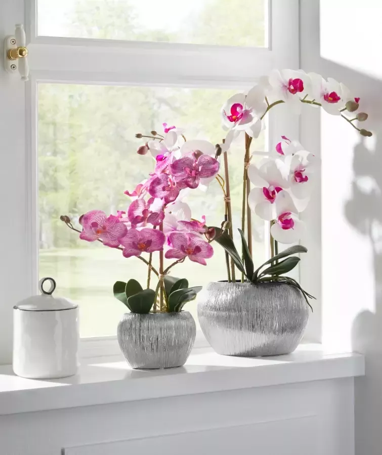 Home affaire Kunstplant Orchidee Kunstorchidee in een pot (1 stuk) - Foto 4