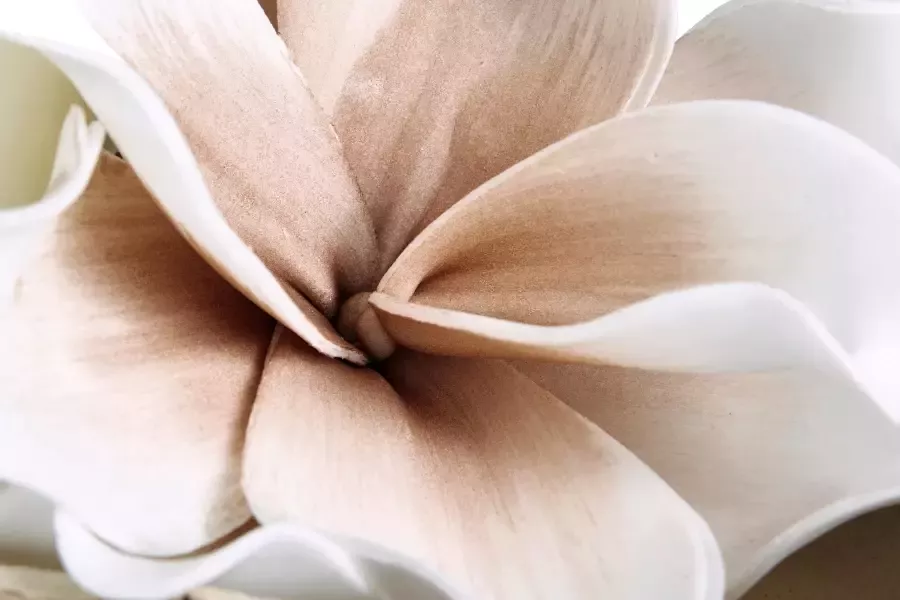 I.GE.A. Decoratief object Zachte magnolia - Foto 1