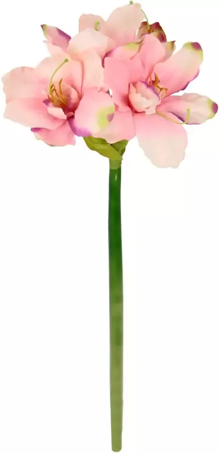 I.GE.A. Kunstbloem Amaryllis (3 stuks) - Foto 2