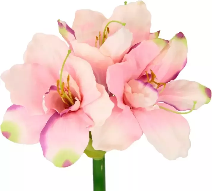 I.GE.A. Kunstbloem Amaryllis (3 stuks) - Foto 1