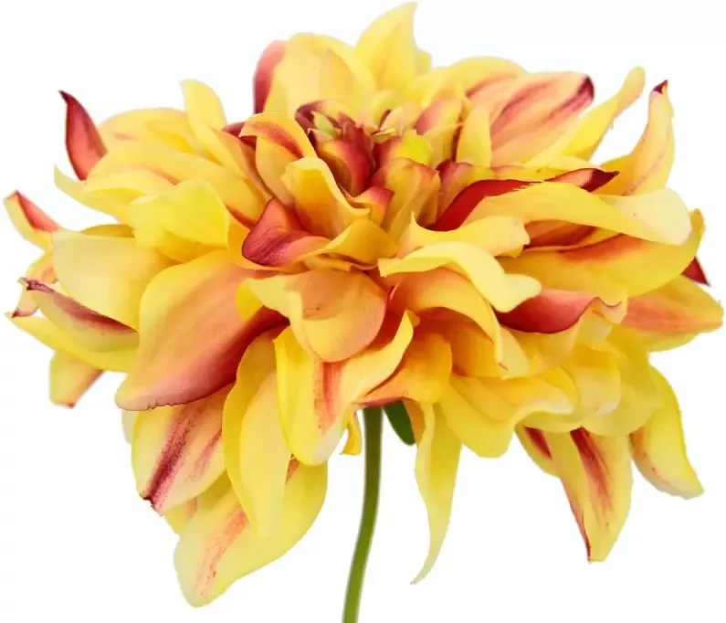 I.GE.A. Kunstbloem Dahlia (3 stuks) - Foto 2