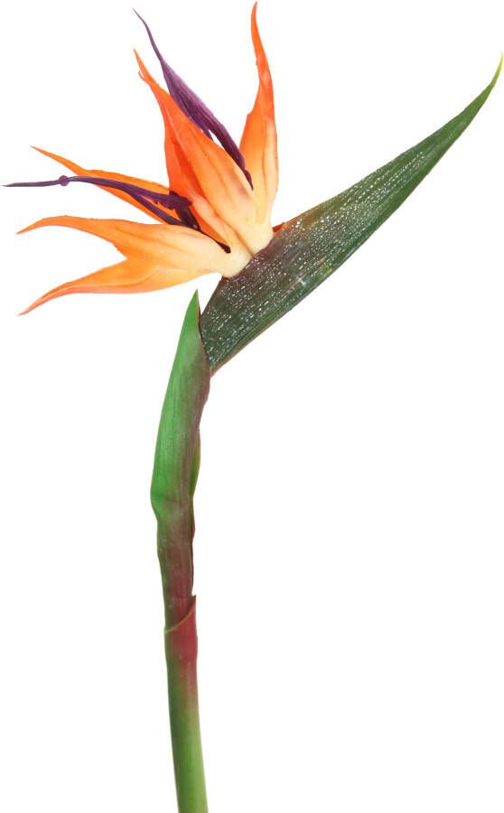 I.GE.A. Kunstbloem Künstliche Blume Strelitzie Paradiesvogelblume Exotischer Dekozweig (3 stuks) - Foto 2