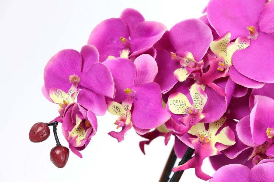 I.GE.A. Kunstbloem Künstliche Orchidee in Schale Phalaenopsis Kunstblume Blume (1 stuk) - Foto 1