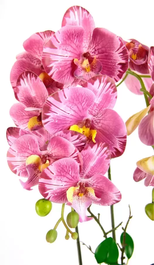 I.GE.A. Kunstbloem Orchidee - Foto 1