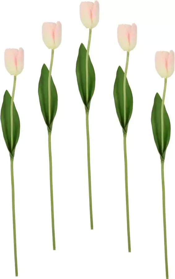 I.GE.A. Kunstbloem Real Touch Tulpen set van 5 kunst-tulpenknoppen kunstbloemen snijbloem (5 stuks) - Foto 1