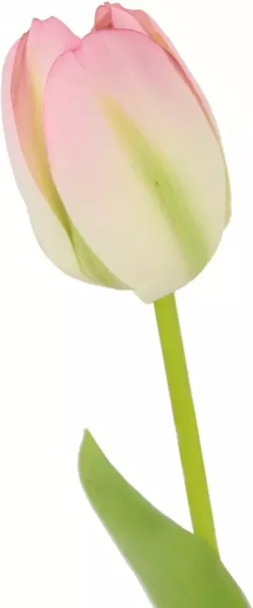 I.GE.A. Kunstbloem Real Touch Tulpen set van 5 kunst-tulpenknoppen kunstbloemen snijbloem (5 stuks) - Foto 2
