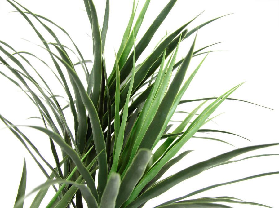 I.GE.A. Kunstboom Palme Dracena im Topf künstlich Pflanze Dracenapalme Zimmerpflanzen (1 stuk) - Foto 1