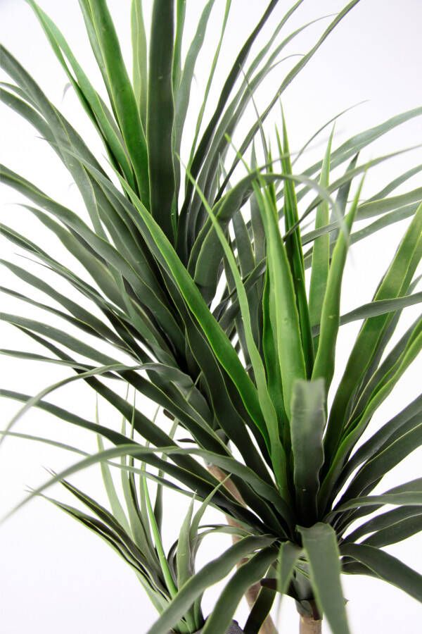 I.GE.A. Kunstboom Palme Dracena im Topf künstlich Pflanze Dracenapalme Zimmerpflanzen (1 stuk) - Foto 2