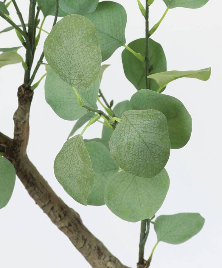 I.GE.A. Kunstplant Kunstbaum Eukalyptus im Topf Pflanze Deko Strauch Busch (1 stuk) - Foto 1