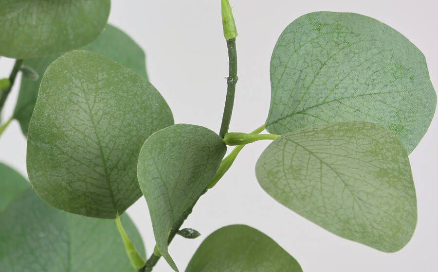 I.GE.A. Kunstplant Kunstbaum Eukalyptus im Topf Pflanze Deko Strauch Busch (1 stuk) - Foto 3