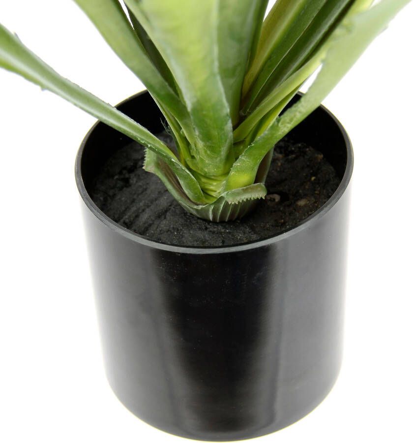 I.GE.A. Kunstplant Künstliche Agave Aloe Vera im Topf Kunstpflanze (1 stuk) - Foto 1