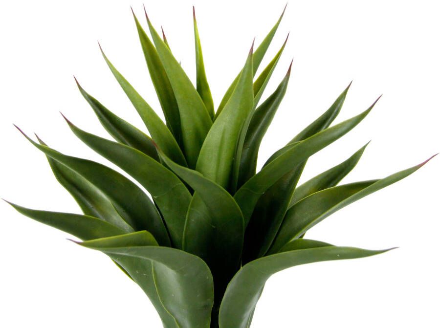 I.GE.A. Kunstplant Kunstmatige Agave in pot plant Aloë Vera Sansevieria (1 stuk) - Foto 1