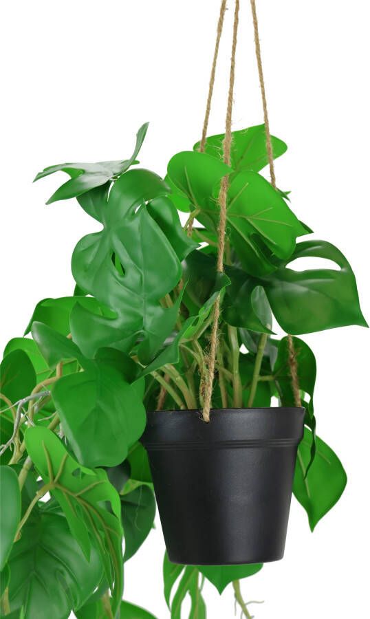 I.GE.A. Kunstplant Künstliche Monstera Hängende Splitphilo Hängeampel (1 stuk) - Foto 2