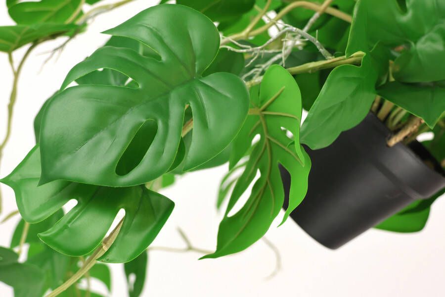 I.GE.A. Kunstplant Künstliche Monstera Hängende Splitphilo Hängeampel (1 stuk) - Foto 1