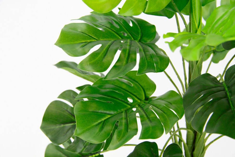 I.GE.A. Kunstplant Monstera - Foto 3