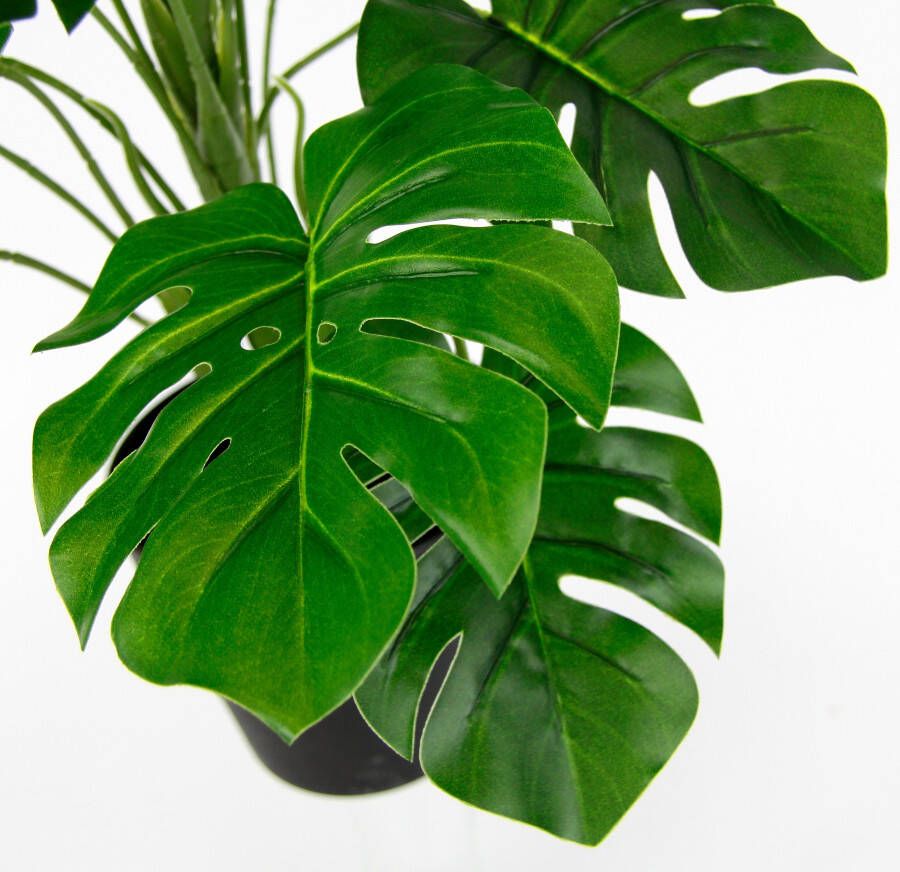 I.GE.A. Kunstplant Monstera - Foto 1