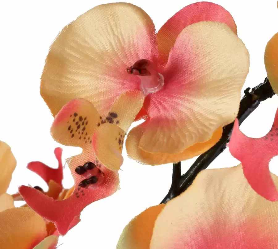 I.GE.A. Kunstplant Orchidee (1 stuk) - Foto 1