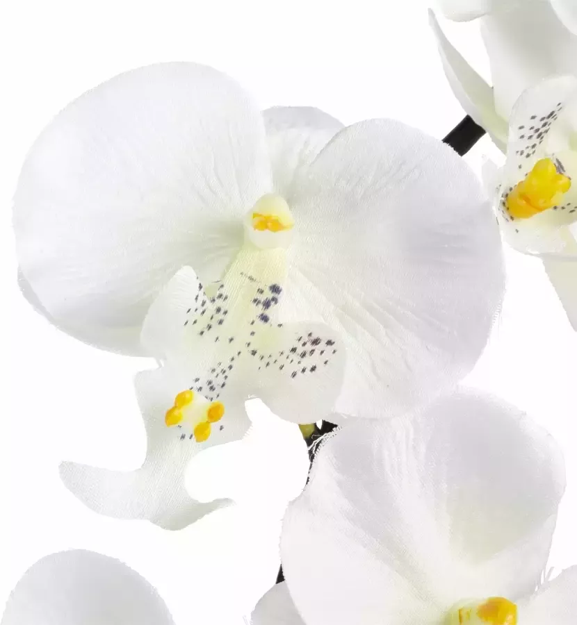 I.GE.A. Kunstplant Orchidee (1 stuk) - Foto 1