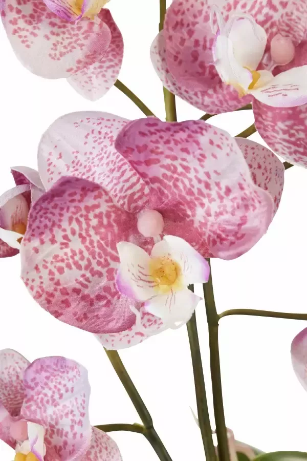 I.GE.A. Kunstplant Orchidee (set 2 stuks) - Foto 3