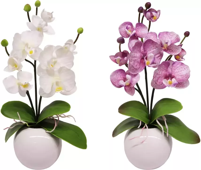 I.GE.A. Kunstplant Orchidee (set 2 stuks) - Foto 1