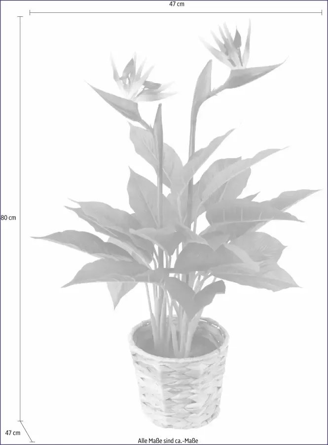 I.GE.A. Kunstplant Paradijsvogelplant in pot van waterhyacint (1 stuk) - Foto 7
