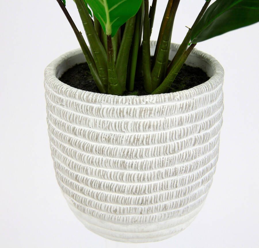 I.GE.A. Kunstplant Spathiphyllum (1 stuk) - Foto 1