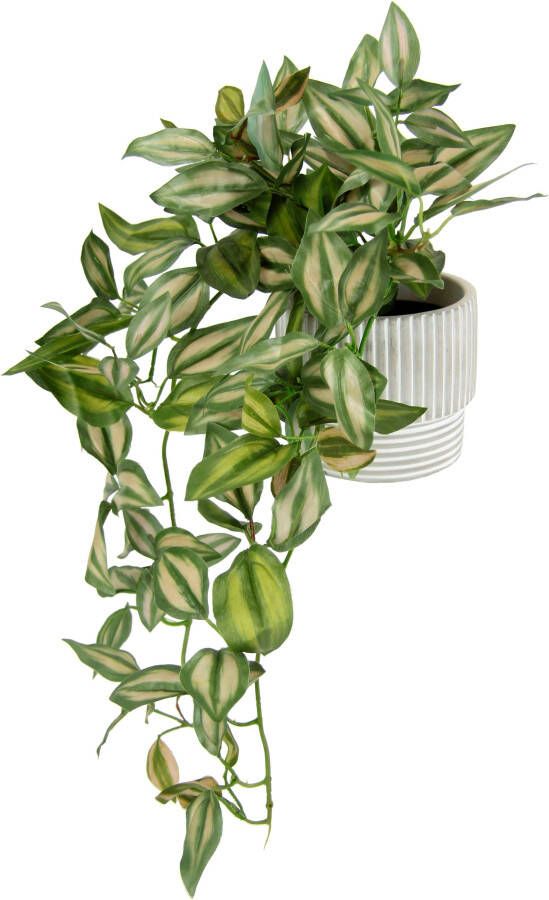 I.GE.A. Kunstplant Tradescantiahänger (2 stuks) - Foto 3