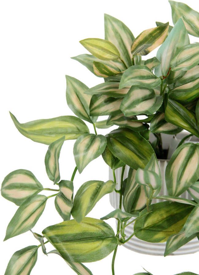 I.GE.A. Kunstplant Tradescantiahänger (2 stuks) - Foto 2