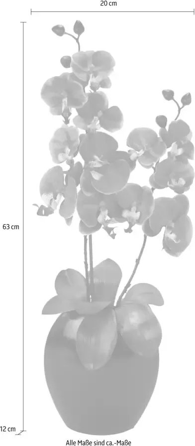 I.GE.A. Kunstplant Vlinderorchidee in vaas - Foto 1