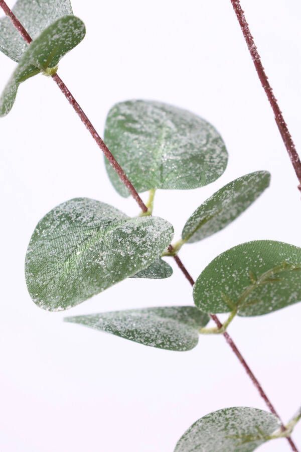 I.GE.A. Winterse kunstplant Kunstzweig Eukalyptuszweig Weihnachtsdeko(set 2 stuks) - Foto 2