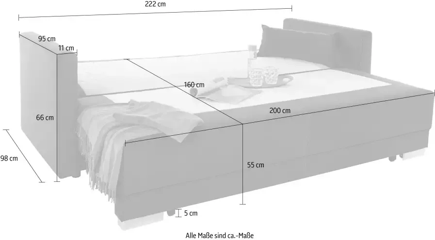 INOSIGN Slaapbank Alexander Boxspringvering incl. slaapfunctie en bedkist met comfort-zithoogte - Foto 6