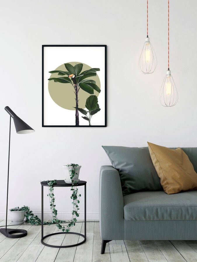 Komar Artprint Botanical Garden Palmtree Kinderkamer slaapkamer woonkamer (1 stuk) - Foto 4