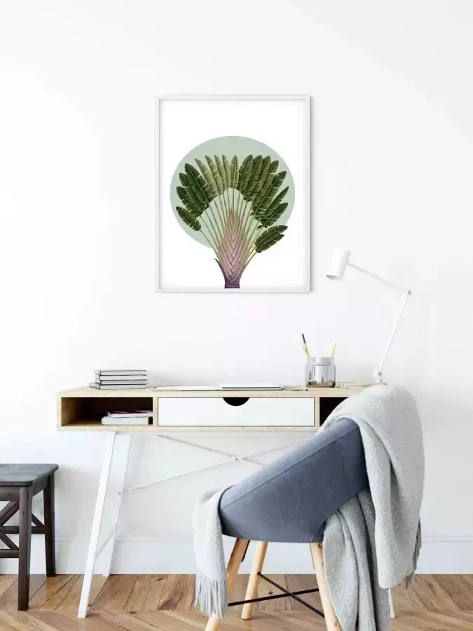 Komar Artprint Botanical Garden Pinnate Palm Kinderkamer slaapkamer woonkamer (1 stuk) - Foto 4