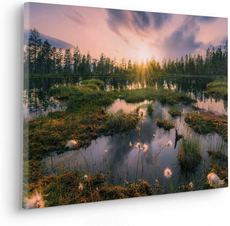 Komar Artprint op linnen Gloomy Swamps Afmeting 60 x 40 cm (1 stuk) - Foto 2