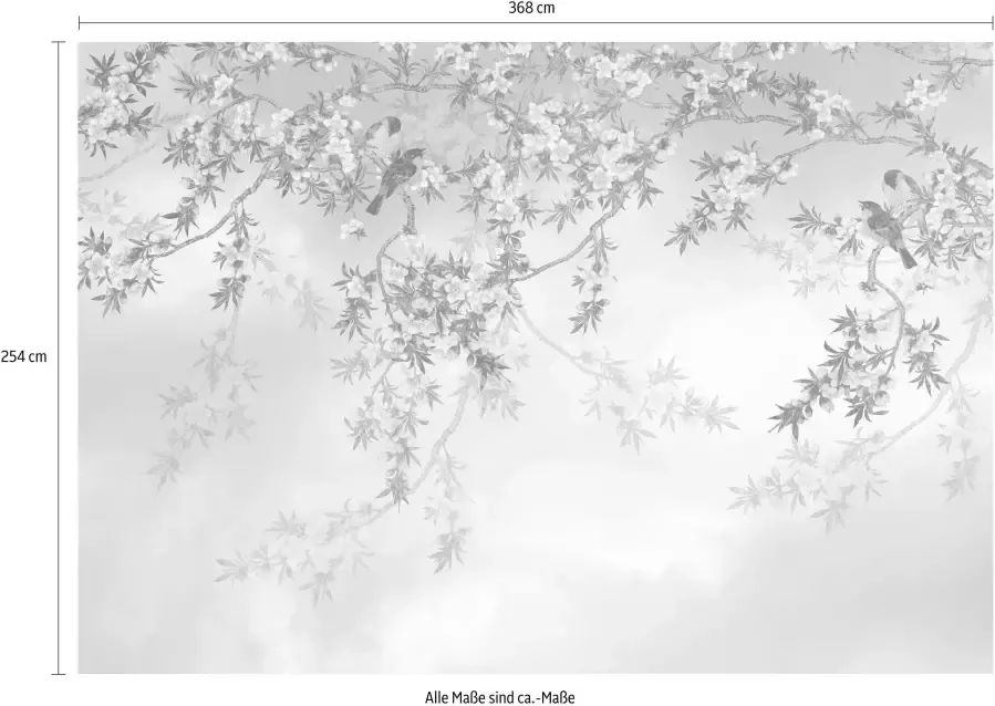 Komar Fotobehang Sakura 368x254 cm (breedte x hoogte) inclusief pasta (set) - Foto 2