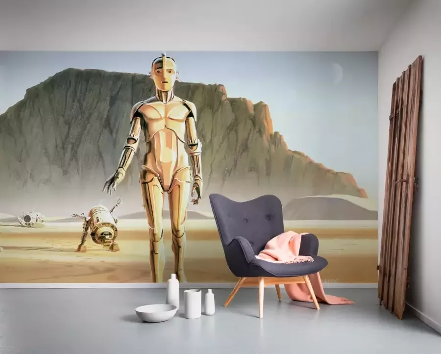 Komar Vliesbehang Star Wars Classic RMQ Droids 500x250 cm (breedte x hoogte) (set) - Foto 2