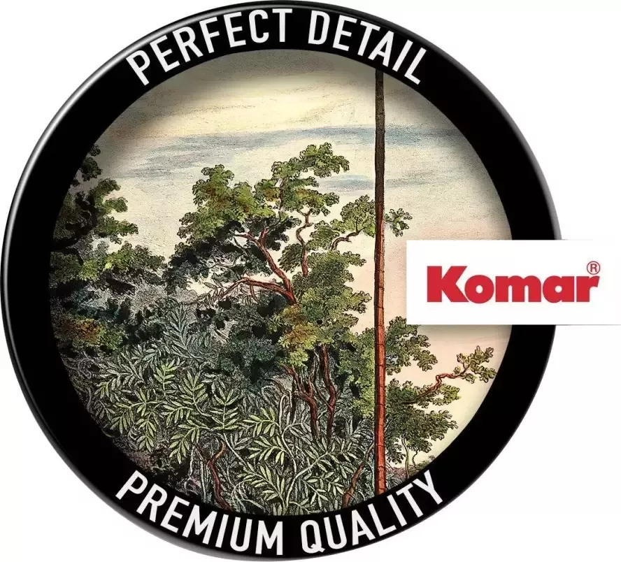 Komar Fotobehang Zelfklevend vlies Vintage Landscape Afmeting 125 x 125 cm (1 stuk) - Foto 1