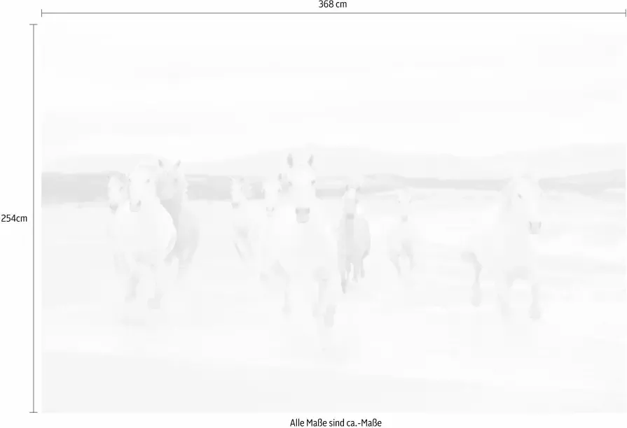 Komar Fotobehang White Horses 368x254 cm (breedte x hoogte) inclusief pasta (set) - Foto 3