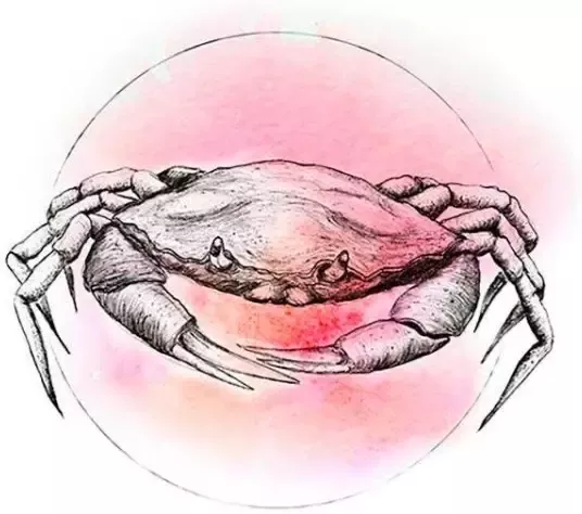Komar Poster Crab Watercolor Kinderkamer slaapkamer woonkamer - Foto 6