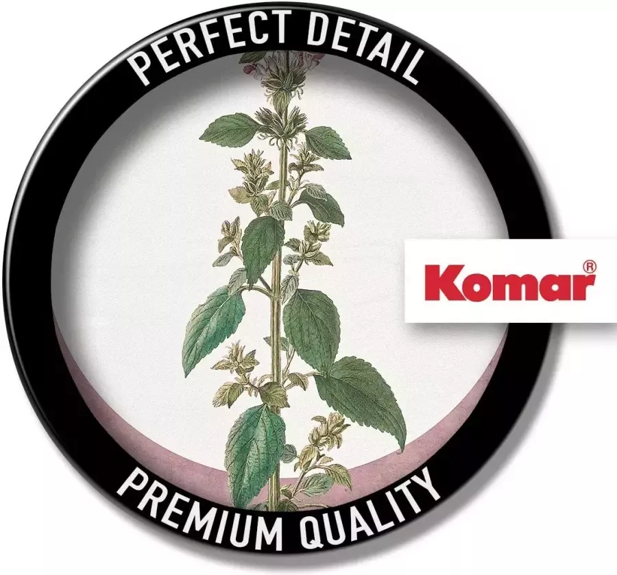 Komar Wanddecoratie Menthe en Croissance Wanddecoratie zonder lijst (1 stuk) - Foto 2
